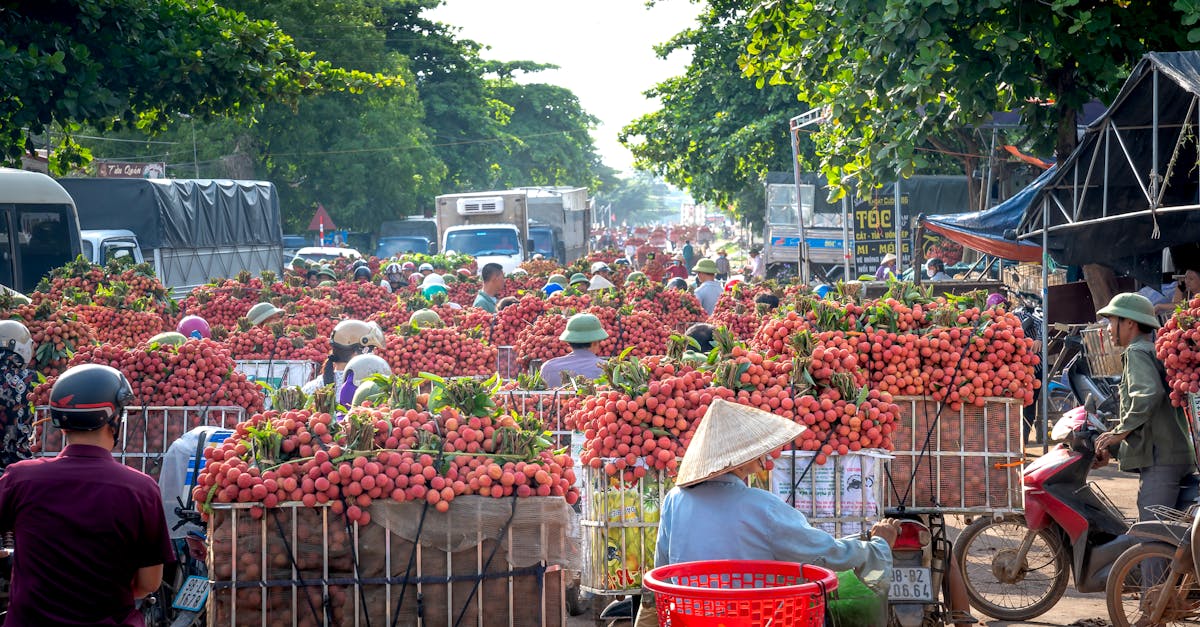 découvrez notre assurance moto adaptée à vos besoins ! protégez votre deux-roues avec une couverture complète, des tarifs compétitifs et un service client à votre écoute. roulez en toute sérénité avec notre offre d'assurance moto sur mesure.