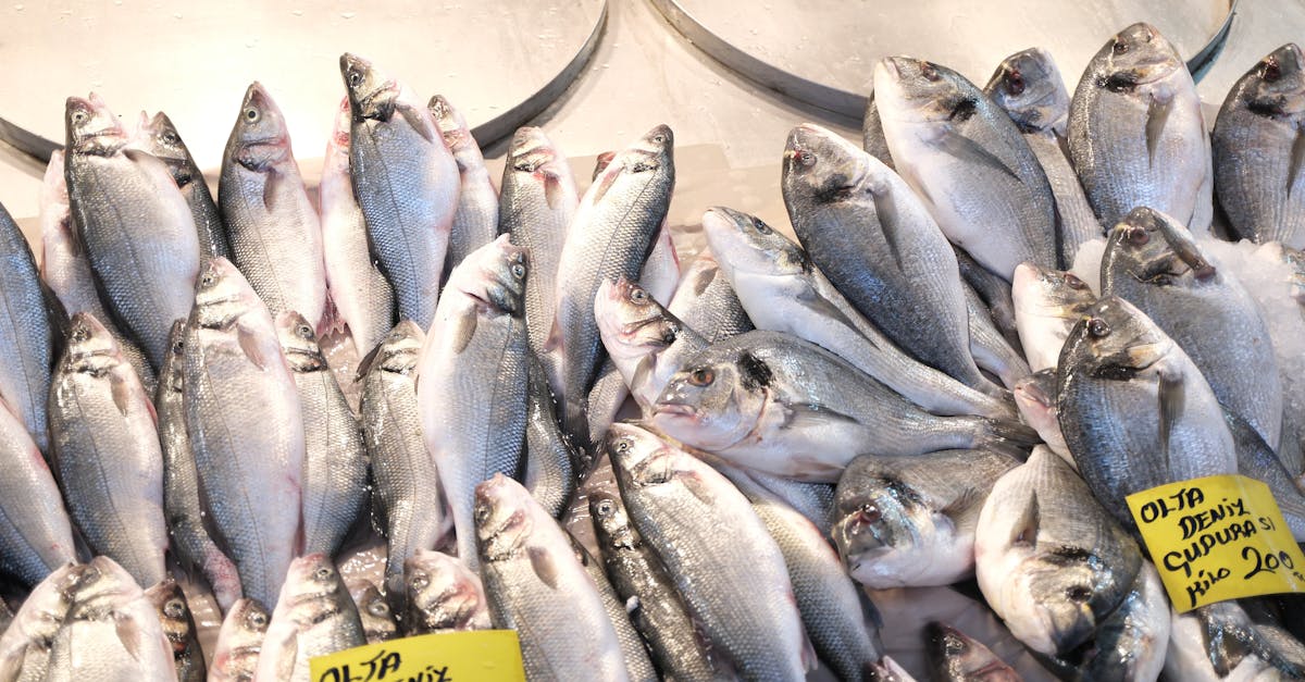 découvrez les prix des tricycles piaggio, alliant confort et performance pour vos trajets quotidiens. comparez nos modèles et trouvez celui qui répond à vos besoins à des tarifs compétitifs.