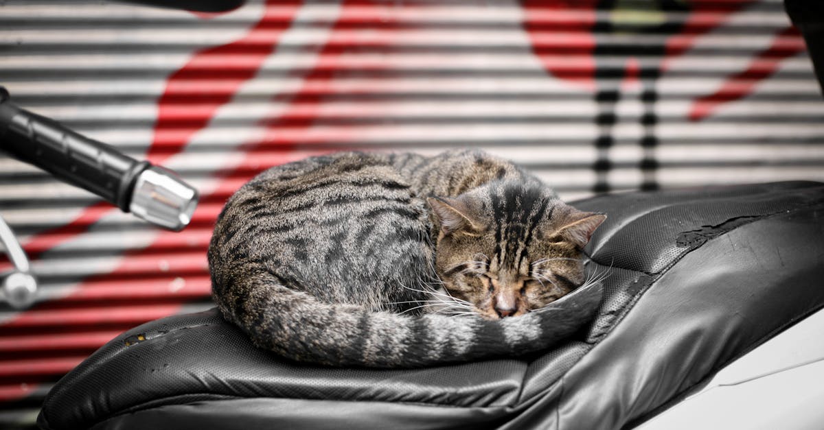 découvrez notre assurance moto adaptée à vos besoins. protégez votre véhicule avec une couverture complète et avantageuse. obtenez un devis rapide et sécurisé pour profiter de la route en toute sérénité.